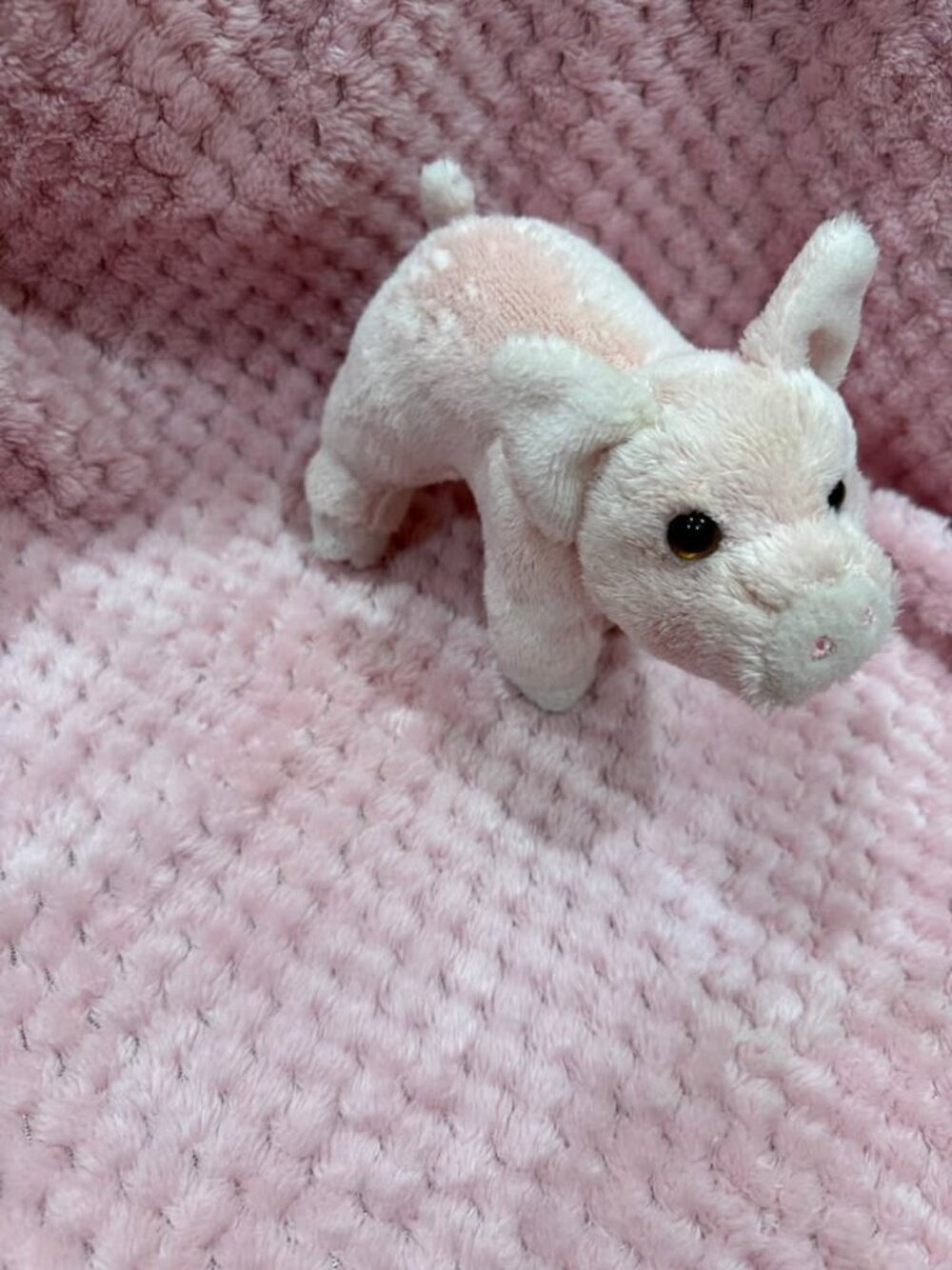 Douglas Plush Pig